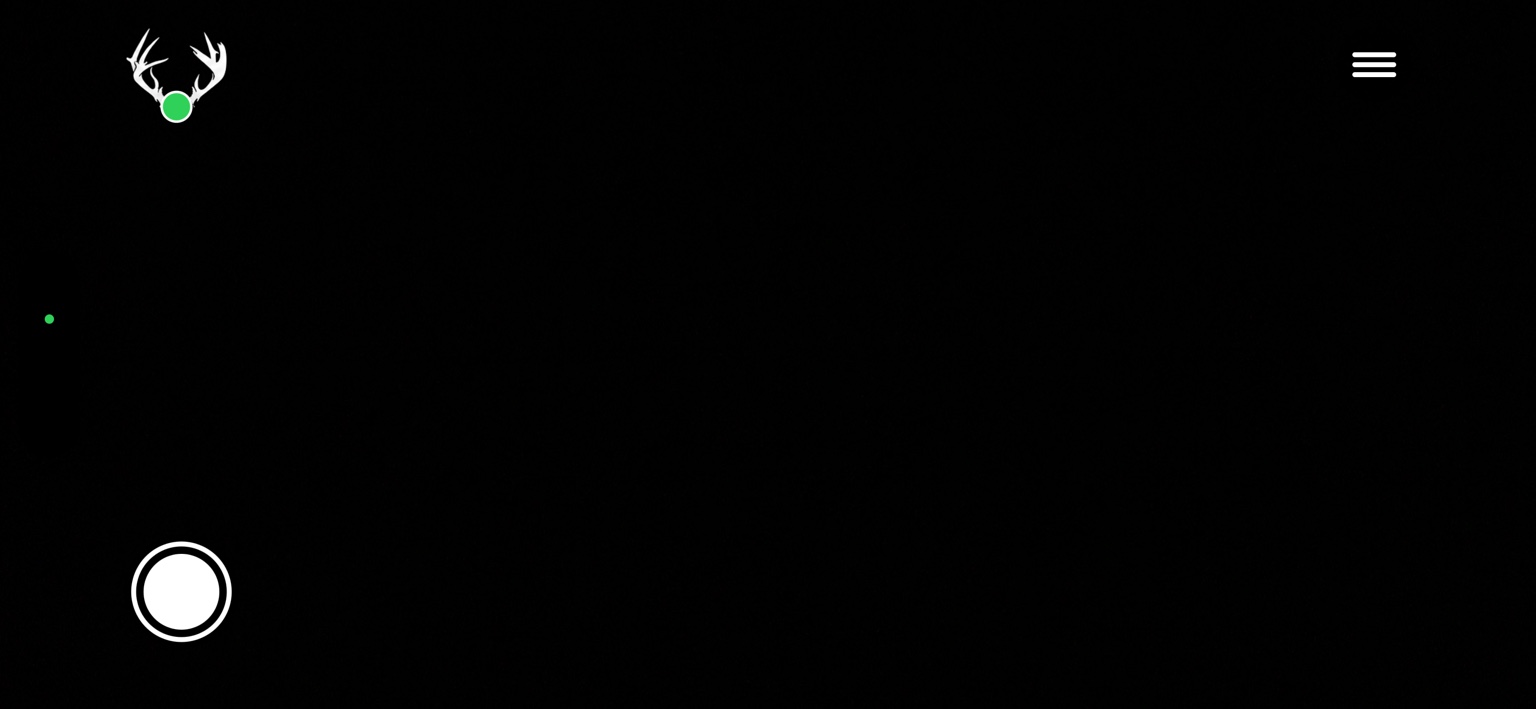 BuckLock v1.1 Build 15 landscape camera screen with a small white antler logo and green scanning dot at upper left, manual record button at lower left, and Settings at upper right